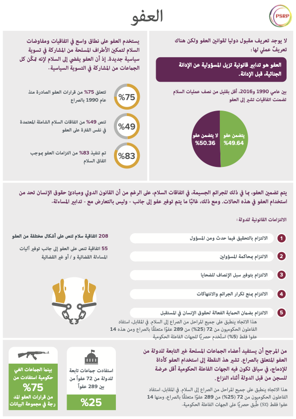 Amnesties PDF thumbnail